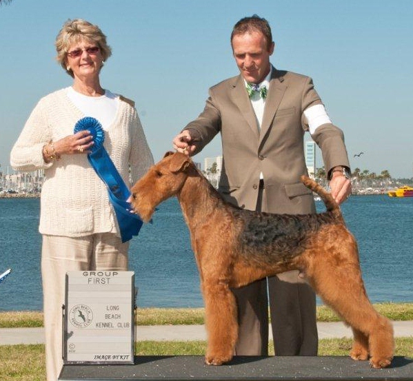 airedale kennel